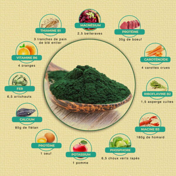 La Spiruline Pour Tous